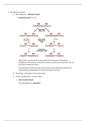 Mechanisms of Repair