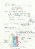 Nervous System: Impulse Propagation, Synapse Transmission, Impulse Conduction, Basic Structure of Neuron, etc. 