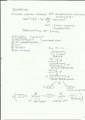 Cell Respiration