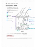 Skin & Body Membrane Graphs