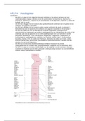 Voeding en Dietetiek - Hoofdfase 1 P4 Samenvatting Voedingsleer 2017 - 2018