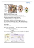 ALLE samenvattingen voor ALLE blokkken van het hele 1e jaar geneeskunde 