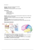 Biological Psychology Bundle