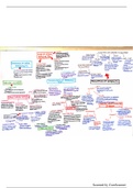 mind map of case law