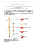 Autonomic nervous system acting drugs 