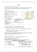 samenvatting cariologie