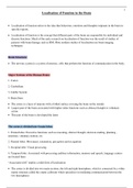 IB Psychology (2019 Syllabus) BLOA Brain Localisation