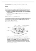 PHOTOSYNTHESIS Biology A level CIE 9700