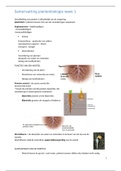 Samenvatting plantenbiologie leerjaar 2 HLO week 1 t/m 6