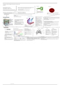 CCEA Biology AS Unit 2 Full Notes For Every Topic *Revised Specification*