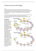 Larsen human embryology summary CH1-3