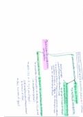 Mindmaps Droit Belge des Etrangers