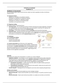 Anatomie en fysiologie - hoofdstuk 12 zenuwstelsel