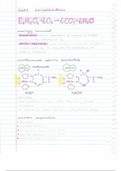 Cell Respiration - Lecture Notes