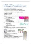 BA1A.2 – HC.7 Cytoskelet, cel-cel verbindingen en extracellulaire matrix
