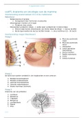 coAP1 Anatomie en oncologie van de mamma