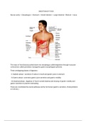 Digestion and absorption 