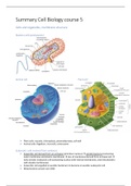 Cell biology course 5 summary