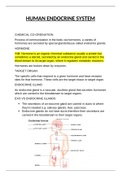 IEB LIFE SCIENCES: Human endocrine system