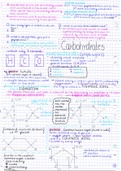 Prions, Carbohydrates (monosaccharides)