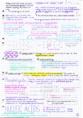 Triglycerides, Phospholipids and Nucleic Acids