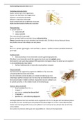 Samenvatting Anatomie HC blok 3 en 4 leerjaar 1 (P)