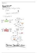 Reactions in Respiration