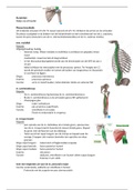 Anatomie in vivo protocollen