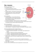 De nieren en nierproblemen