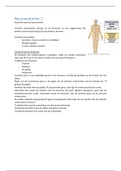 Neuroanatomie 2.1