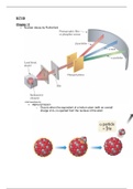 Chemistry 1120 chapters 3-9