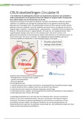 CRUX-doelstellingen circulatie 3