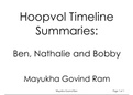 Hoopvol Notes