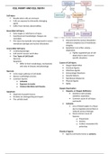 Cell Injury and Cell Death 