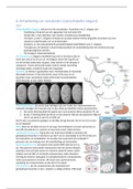 Hfst 6, ontwikkeling nematoden (C. elegans)