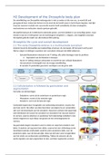 Ontwikkelingsbiologie - Deeltoets 2