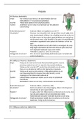 Anatomie 2