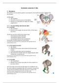 Anatomie 2: Cursus Mistiaens