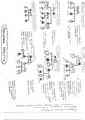 Modes of Inheritance Pedigree Analysis