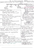 Lac Operon Overview