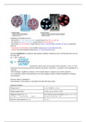 chemistry electrochemistry and other basic understanding 