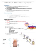 Kindertandheelkunde - college 2 ontwikkeling van het kind   boek samengevat