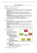 Samenvatting Blok 1.3 Statistiek