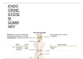 Endocrine system summary