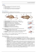 Samenvatting Functionele Neuroanatomie