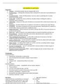 Med-surg 2 exam 1 study guide