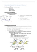 Calcium signalling 