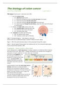 Molecular Genetics