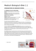 Samenvatting fysiotherapie jaar 1!