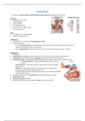 Shoulder Dystocia